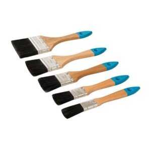 BRUSH SET DISP 5 PCS